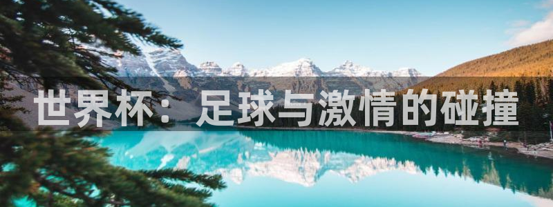 世界杯：世界杯：足球与激情的碰撞