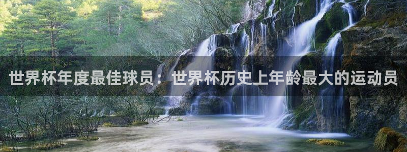 世界杯欧洲区预选赛：世界杯年度最佳球员：世界杯历史上年龄最大的运动员
