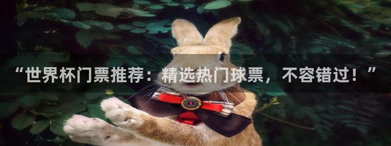 女足世界杯赛程：“世界杯门票推荐：精选热门球票，不容错过！”