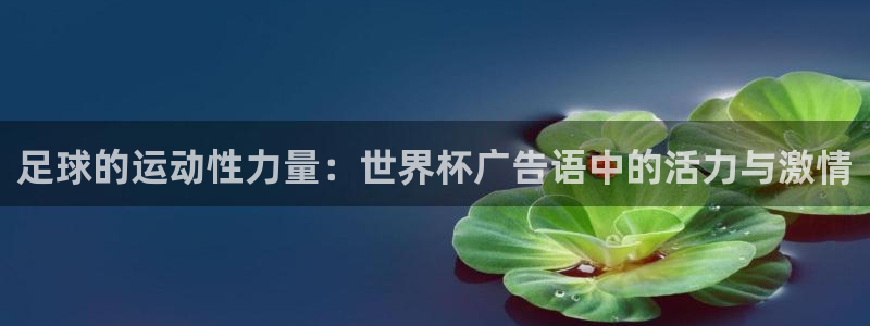 2026世界杯官网入口：足球的运动性力量：世界杯广告语中的活力与激情