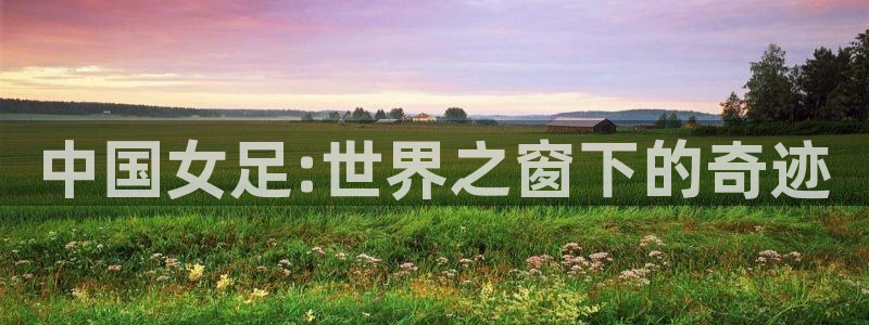 2026年男足世界杯：中国女足:世界之窗下的奇迹
