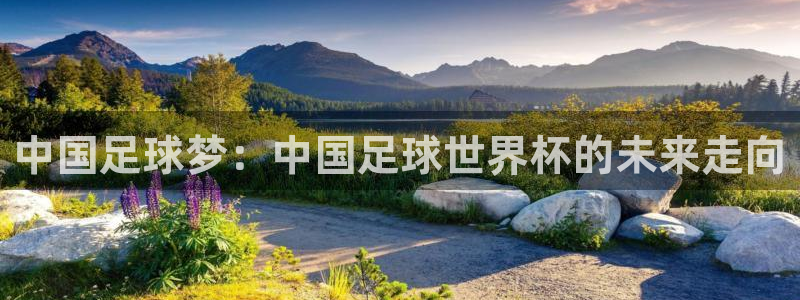 2026葡萄牙杯赛程表：中国足球梦：中国足球世界杯的未来走向