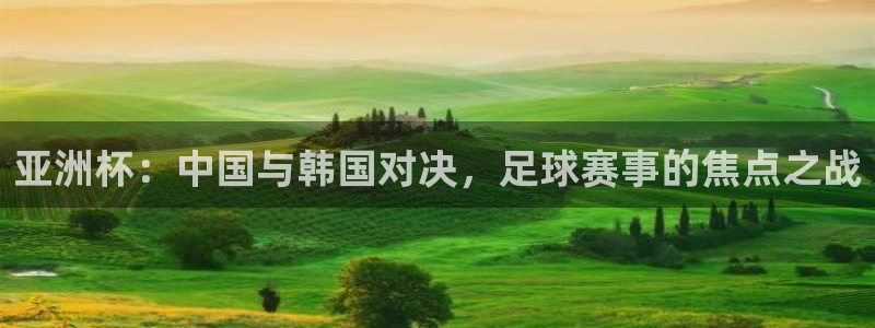 世预赛直播：亚洲杯：中国与韩国对决，足球赛事的焦点之战