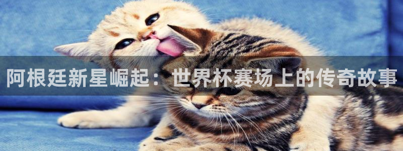 世界杯对阵表：阿根廷新星崛起：世界杯赛场上的传奇故事