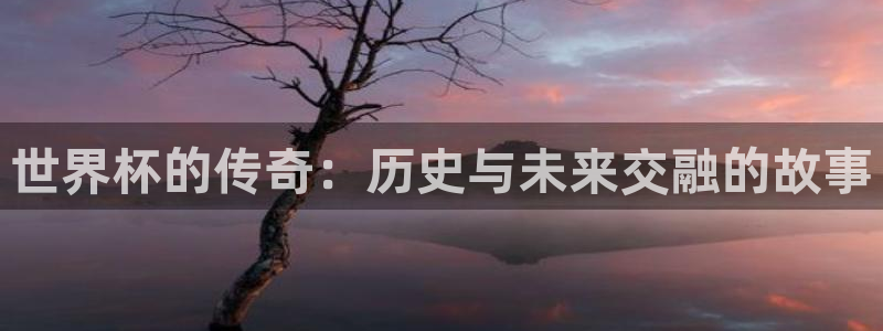 世界杯足球：世界杯的传奇：历史与未来交融的故事