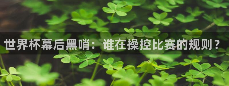 国际足联世界杯：世界杯幕后黑哨：谁在操控比赛的规则？