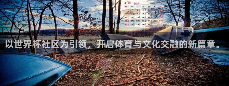 世预赛直播：以世界杯社区为引领，开启体育与文化交融的新篇章。